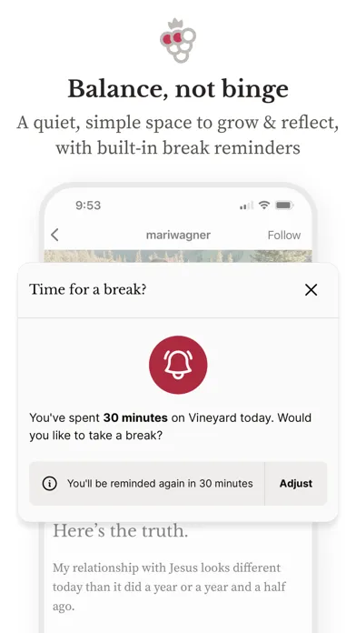Vineyard: Find Virtuous Minds Screenshots