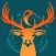 HUNTIN - Hunting Tools & Calls