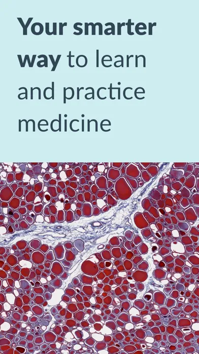 AMBOSS Medical Knowledge Screenshots
