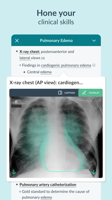 AMBOSS Medical Knowledge Screenshots