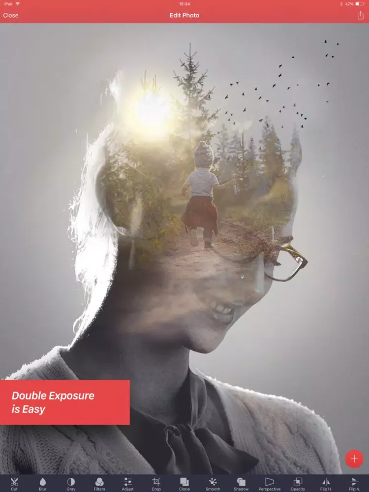 ภาพหน้าจอของ Pixomatic photo editor iPad 