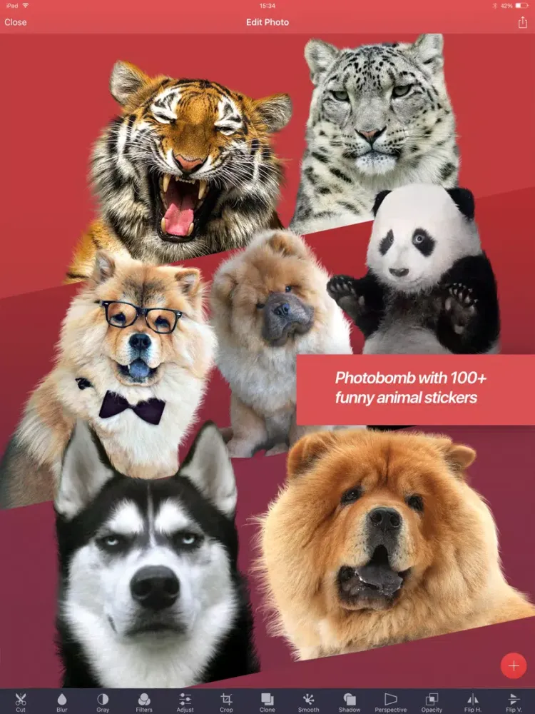 ภาพหน้าจอของ Pixomatic photo editor iPad 