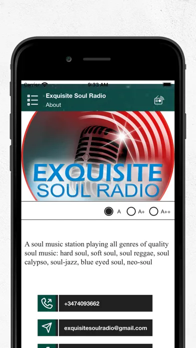 Screenshot di Exquisite Soul Radio