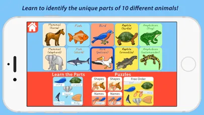 Capturas de tela do Parts Of Animals - Vertebrates