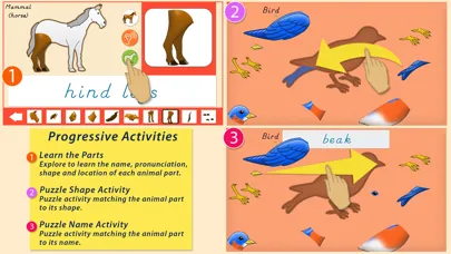 Capturas de tela do Parts Of Animals - Vertebrates