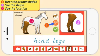 Capturas de tela do Parts Of Animals - Vertebrates