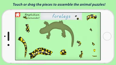 Capturas de tela do Parts Of Animals - Vertebrates