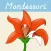 Learn Botany - Parts of Plants