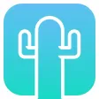 ReCactus - React to Videos