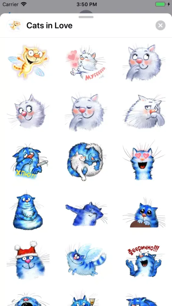 Cats in LOVE应用截图