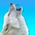 Wolf Stickers for WA