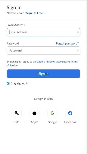 Zoom for Chromebook Screenshots