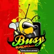 Busy Radio Busy Radio