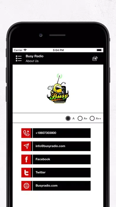 Busy Radio স্ক্রিনশট