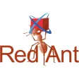 RA Image RA Image