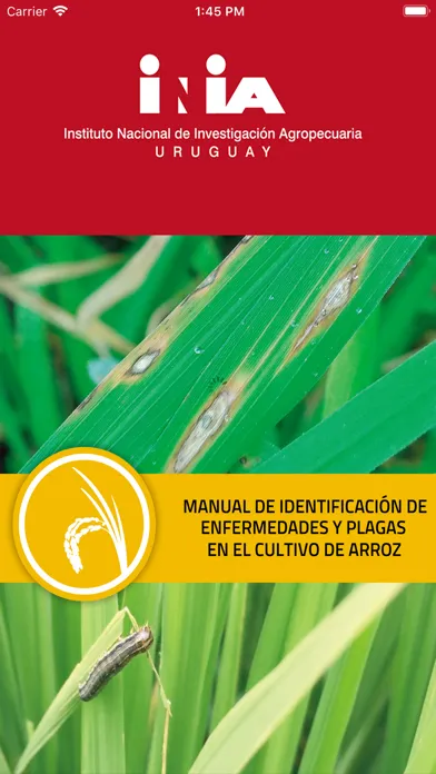 Скриншоты Enfermedades y plagas de arroz