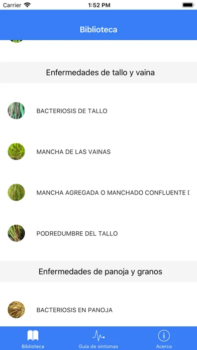 Скриншоты Enfermedades y plagas de arroz
