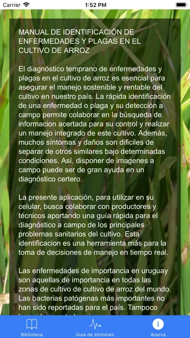 Скриншоты Enfermedades y plagas de arroz