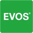 Evos.uz Evos.uz