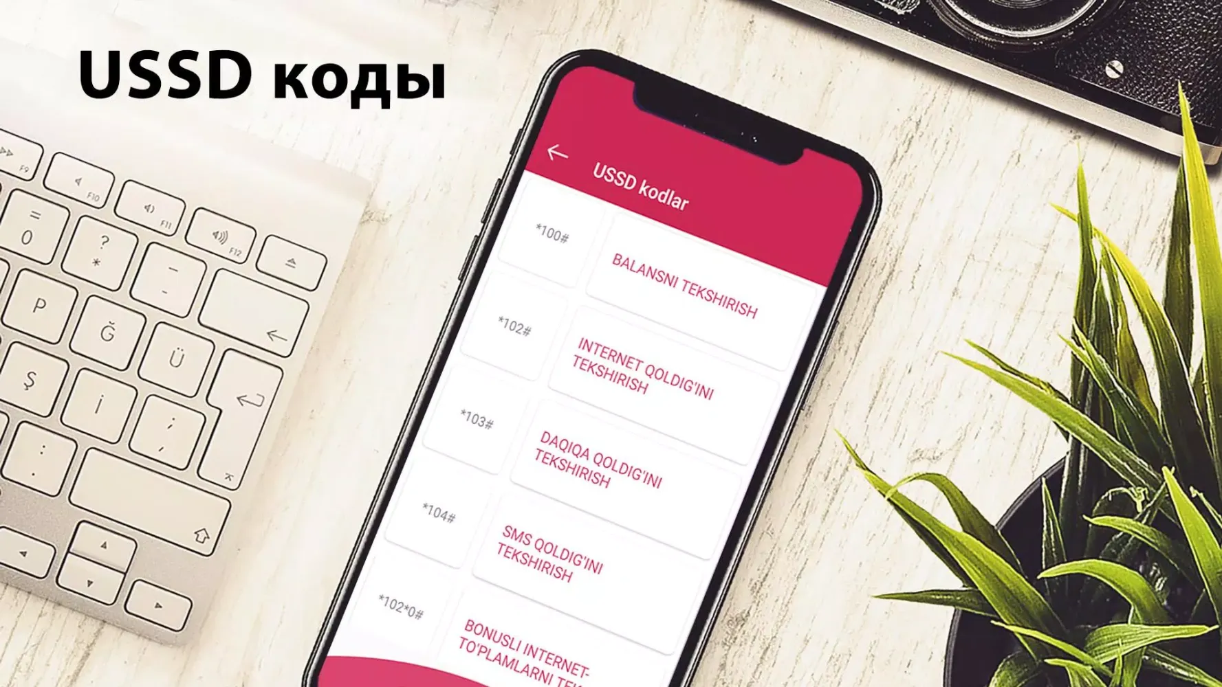 USSD Mobile应用截图