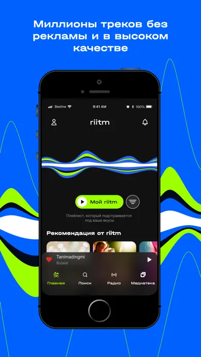Скриншоты riitm