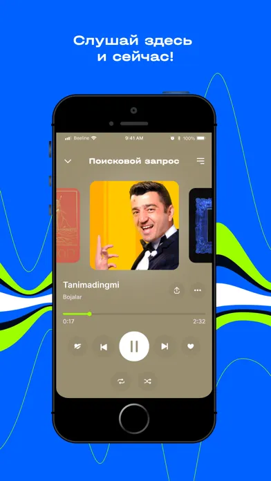 Скриншоты riitm
