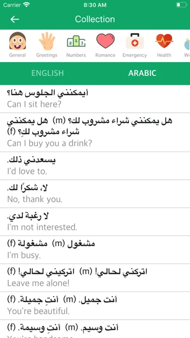 Best English-Arabic Dictionary應用截圖