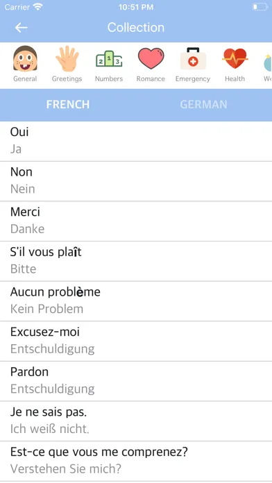 French-German Dictionary应用截图