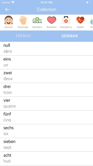 French-German Dictionary应用截图