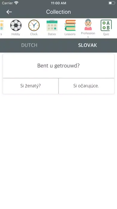 Dutch Slovak Dictionary স্ক্রিনশট