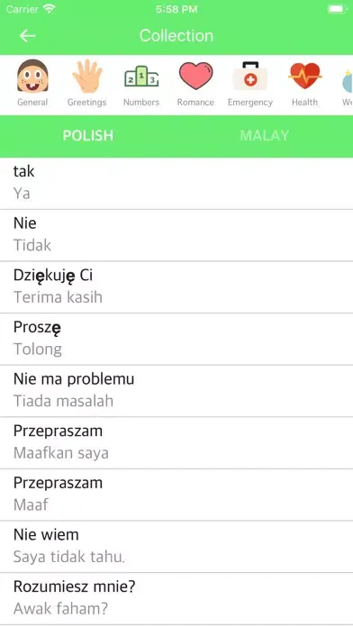 Tangkapan skrin Polish Malay Dictionary