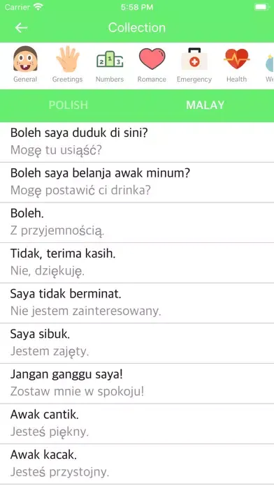 Tangkapan skrin Polish Malay Dictionary