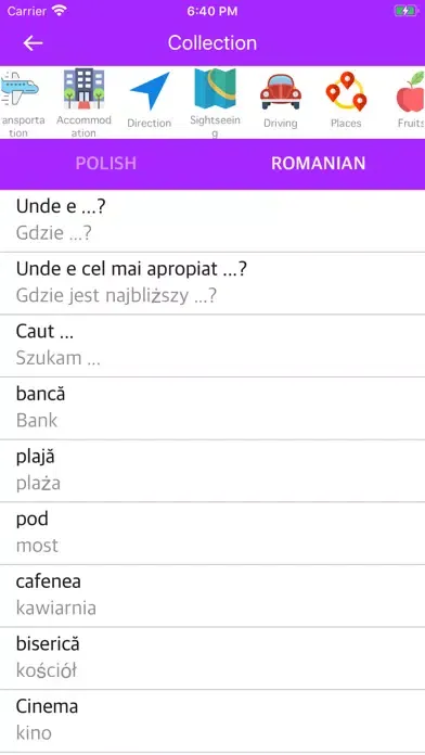 Polish Romanian Dictionary Screenshots