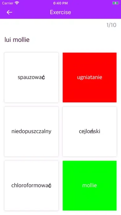 Polish Romanian Dictionary Screenshots
