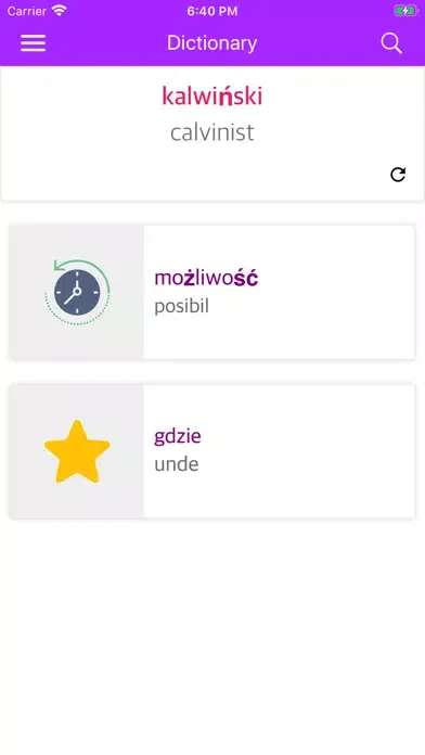 Polish Romanian Dictionary Screenshots