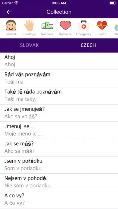 Slovak Czech Dictionary Screenshots