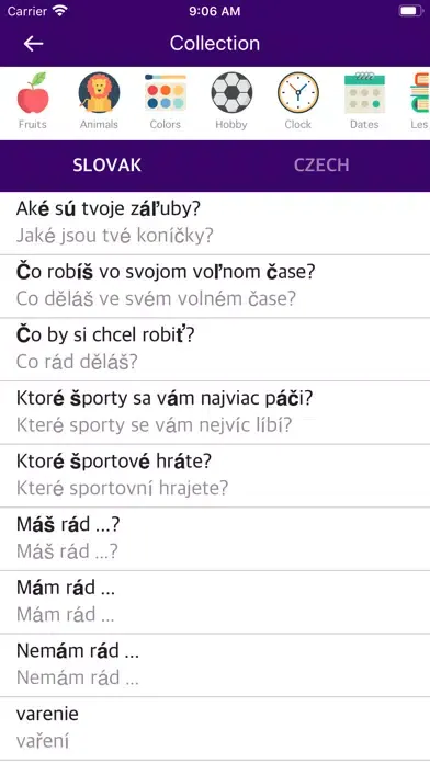 Slovak Czech Dictionary Screenshots