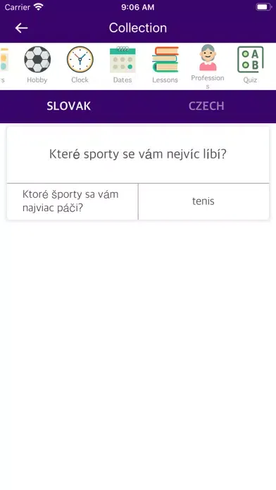 Slovak Czech Dictionary Screenshots