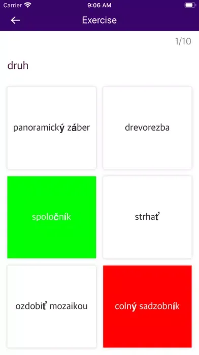 Slovak Czech Dictionary Screenshots