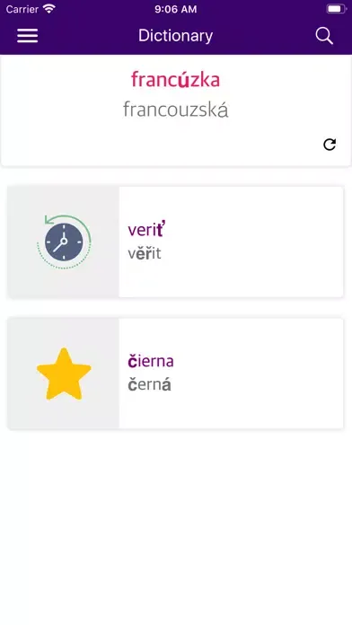Slovak Czech Dictionary Screenshots