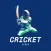 CricketScore - Live Cricket