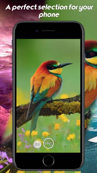 Wallpaper - Wallpapers HD - Background 스크린샷