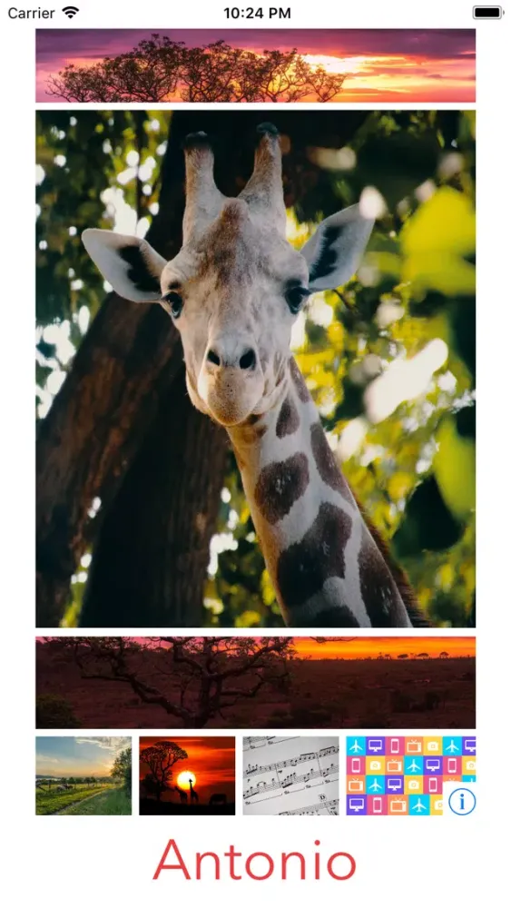 Antonio for Babies & Toddlers Screenshots