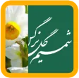 شمیم گل نرگس شمیم گل نرگس