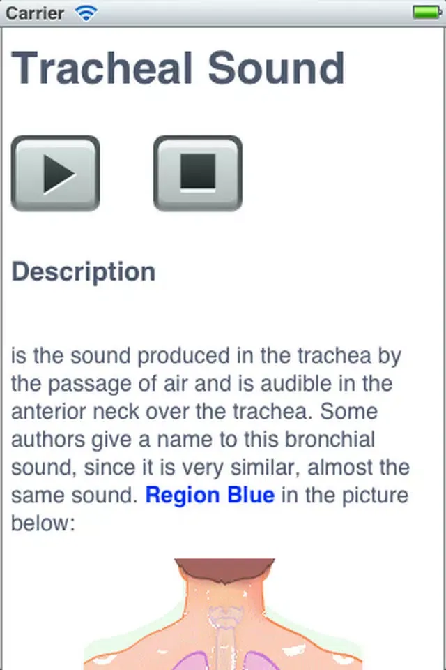 Pulmonary Auscultation Screenshots