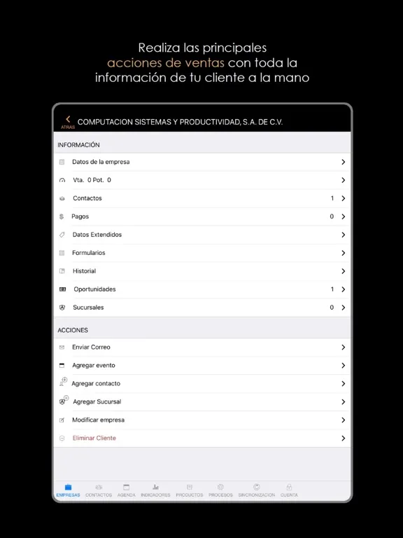 Screenshot di VCC Movil iPad 