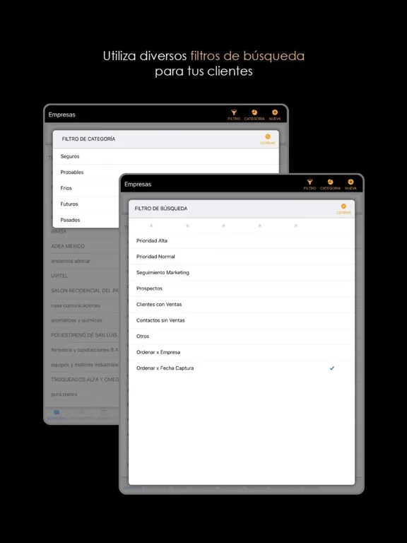 Screenshot di VCC Movil iPad 