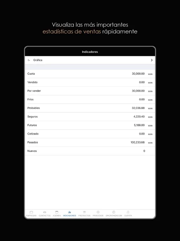 Screenshot di VCC Movil iPad 