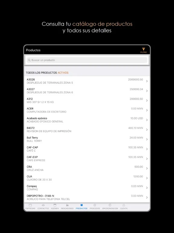 Screenshot di VCC Movil iPad 