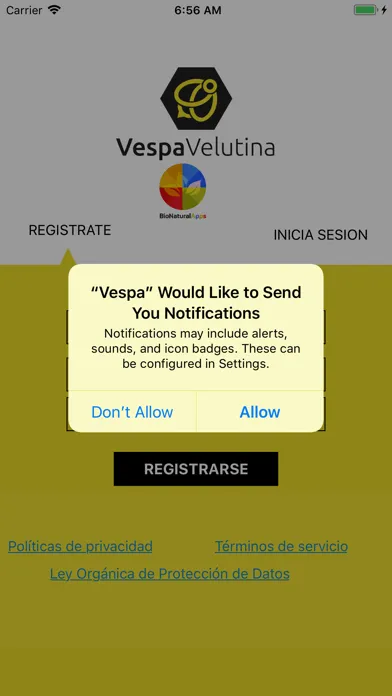 Скриншоты Vespa Velutina